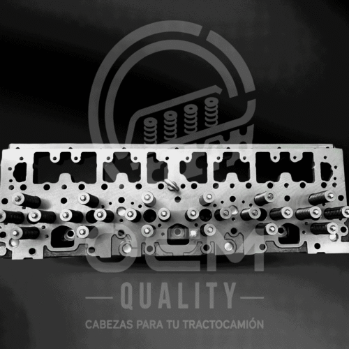 10_optimized CABEZA ISM / M11