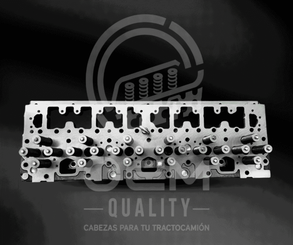 CABEZA ISM / M11