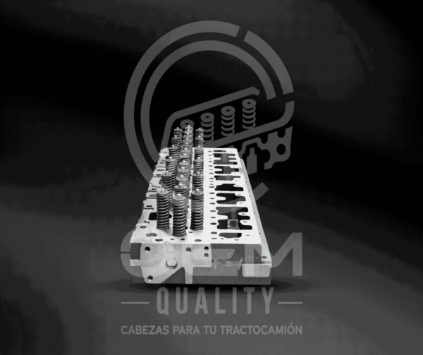CABEZA ISM / M11