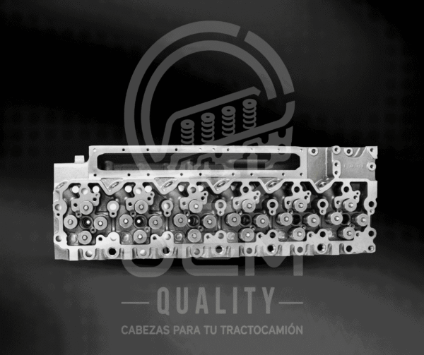 18_optimized CABEZA PX8 / ISC / ISl