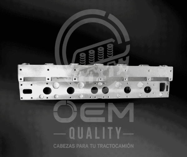 24_optimized CABEZA X15