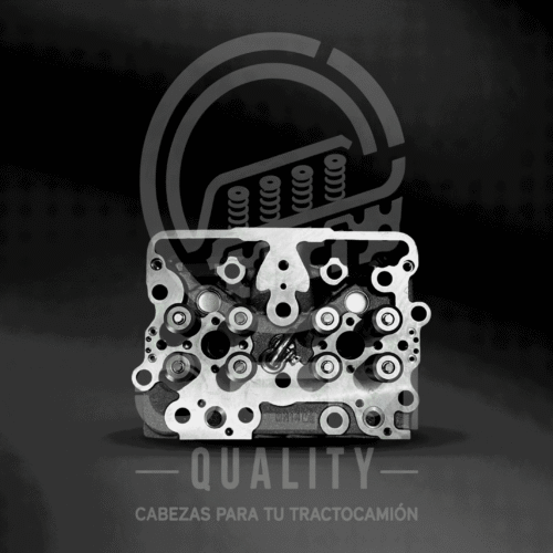34_optimized CABEZA N14 ELECTRÓNICO