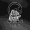 40_optimized CABEZA PACCAR MX13